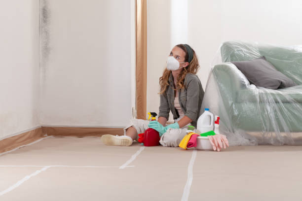 Reliable Mold Remediation contractor in Portland, MI by WQB Mold Removal